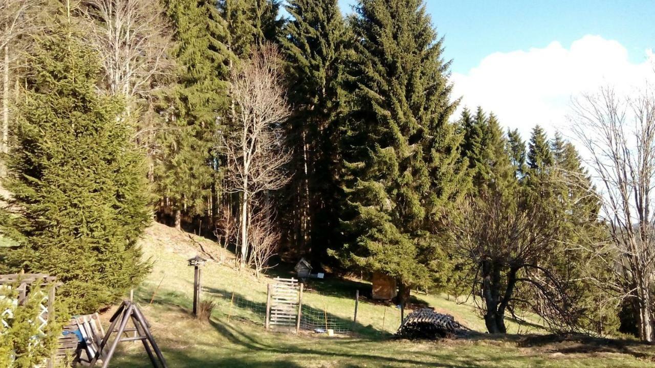 Gaestehaus Fridolin Krieglach Bagian luar foto