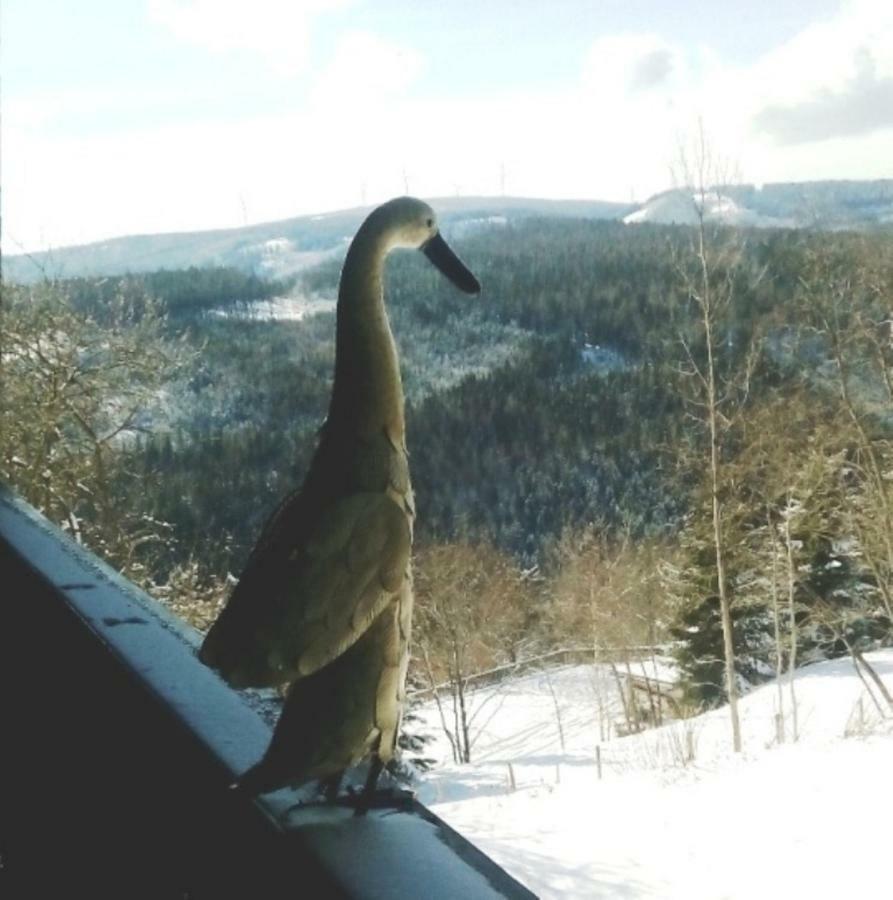 Gaestehaus Fridolin Krieglach Bagian luar foto