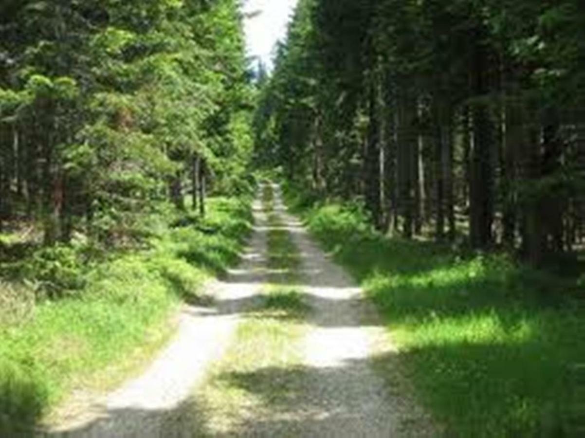 Gaestehaus Fridolin Krieglach Bagian luar foto