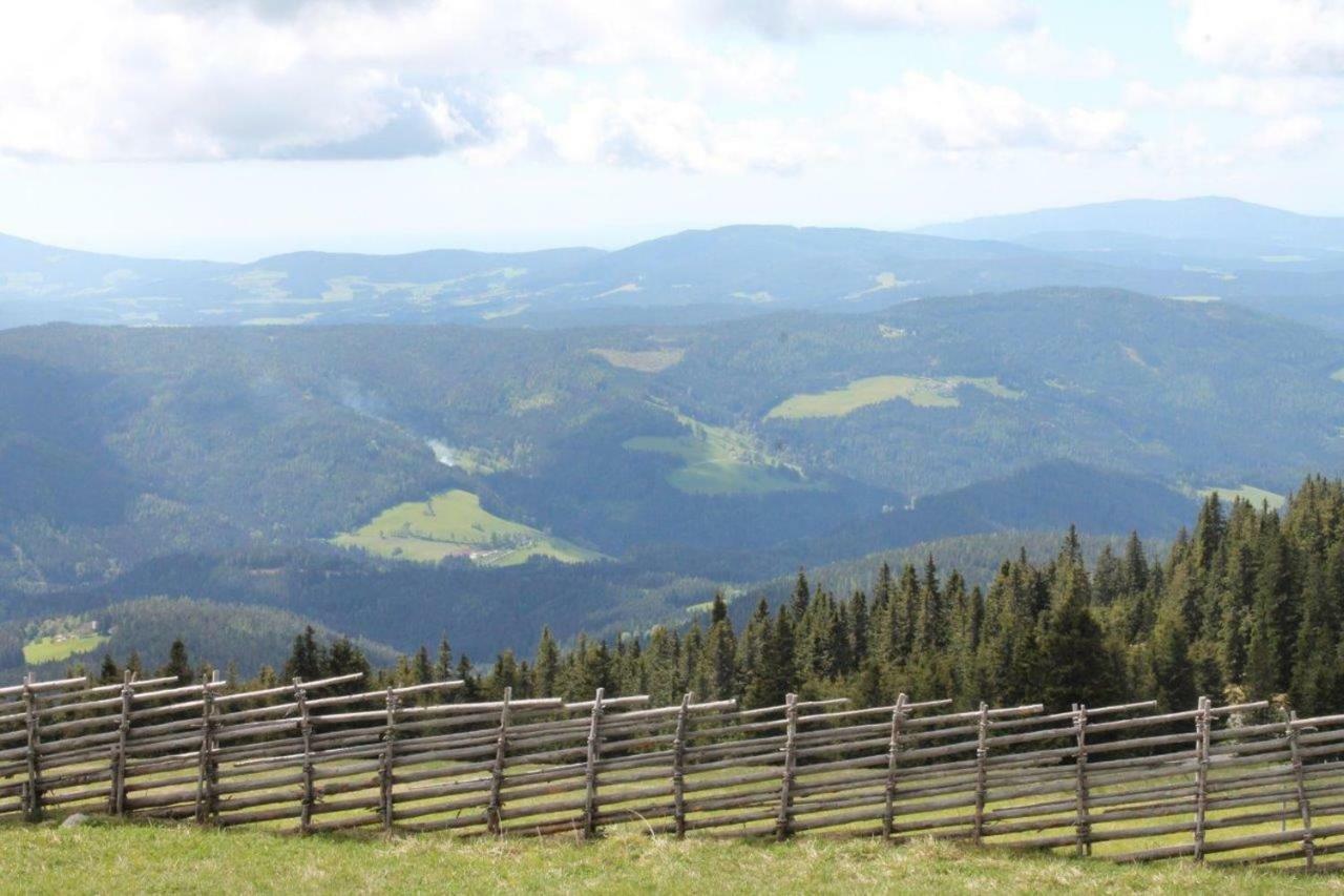 Gaestehaus Fridolin Krieglach Bagian luar foto