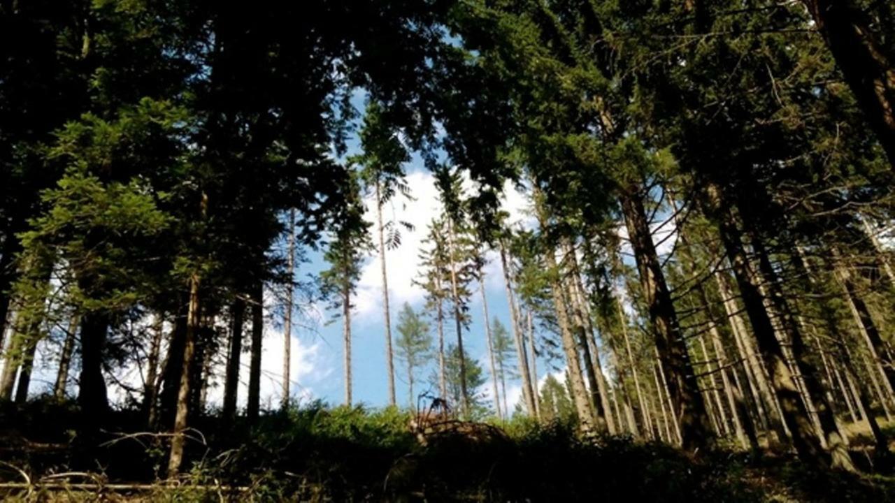 Gaestehaus Fridolin Krieglach Bagian luar foto