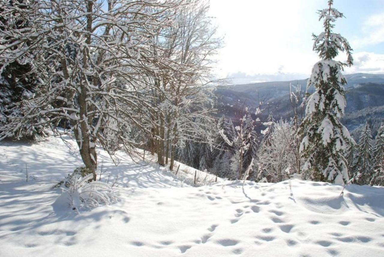 Gaestehaus Fridolin Krieglach Bagian luar foto